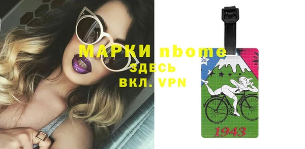 мет Алексин