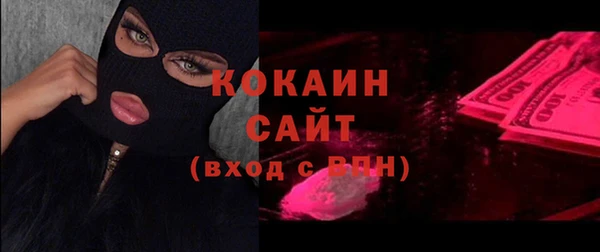 мет Алексин
