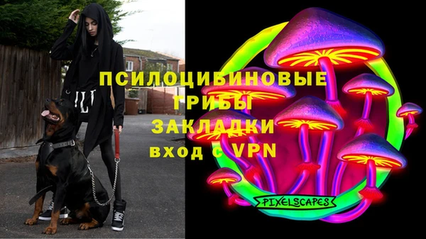 мет Алексин